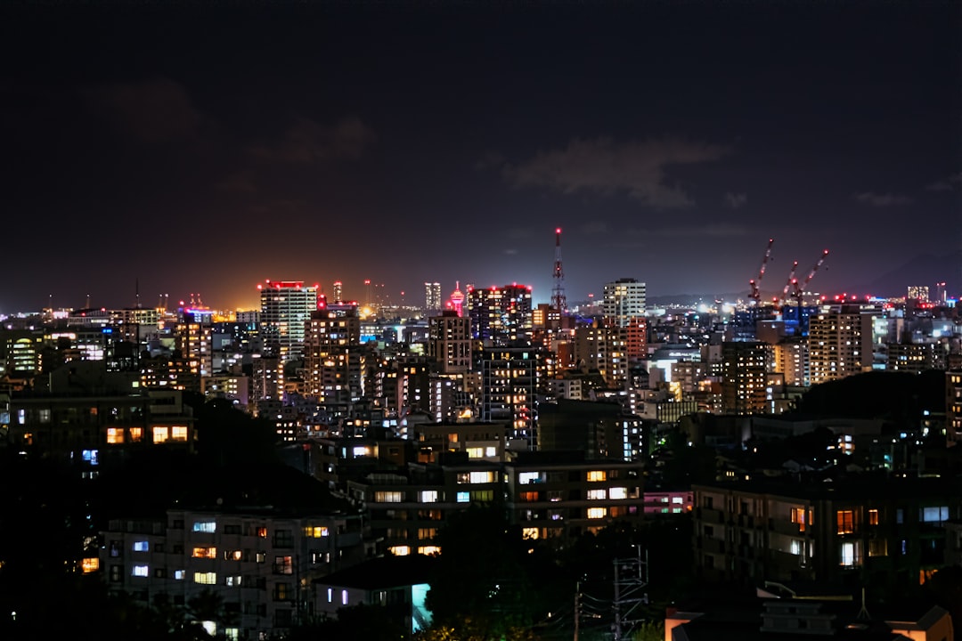 タイトル：福岡市南公園の夜景
TITLE：Night view of Fukuoka City Minami Park